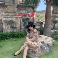 Hằng 1979