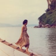 trịnh vân