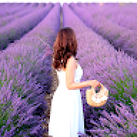 Đỗ Thị Lan Phương